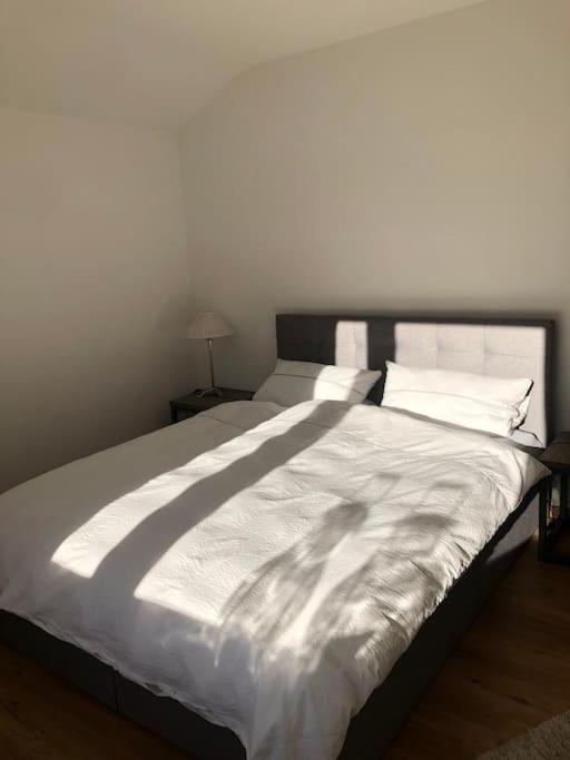 Alpsoul Eine Ferienwohnung Mit Charisma…. 加爾米施-帕滕基興 外观 照片